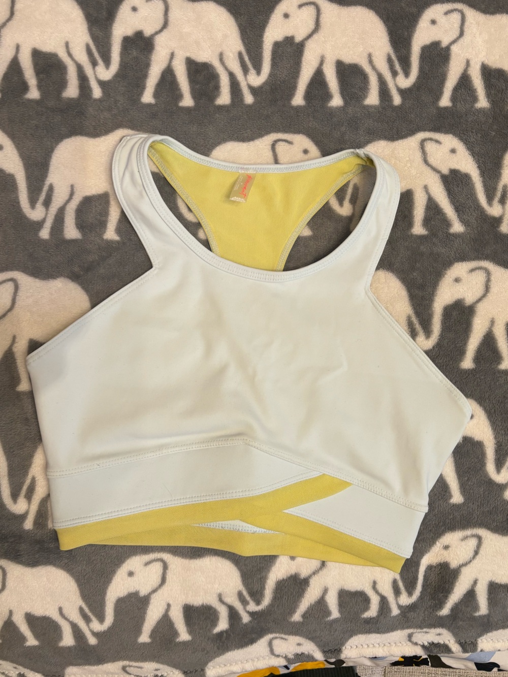 Free People Sports Bra